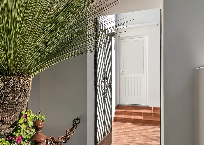 Fuorlovado 40 קאפרי